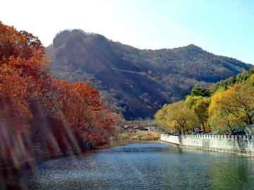 澳门天天免费精准大全，孩子厌学